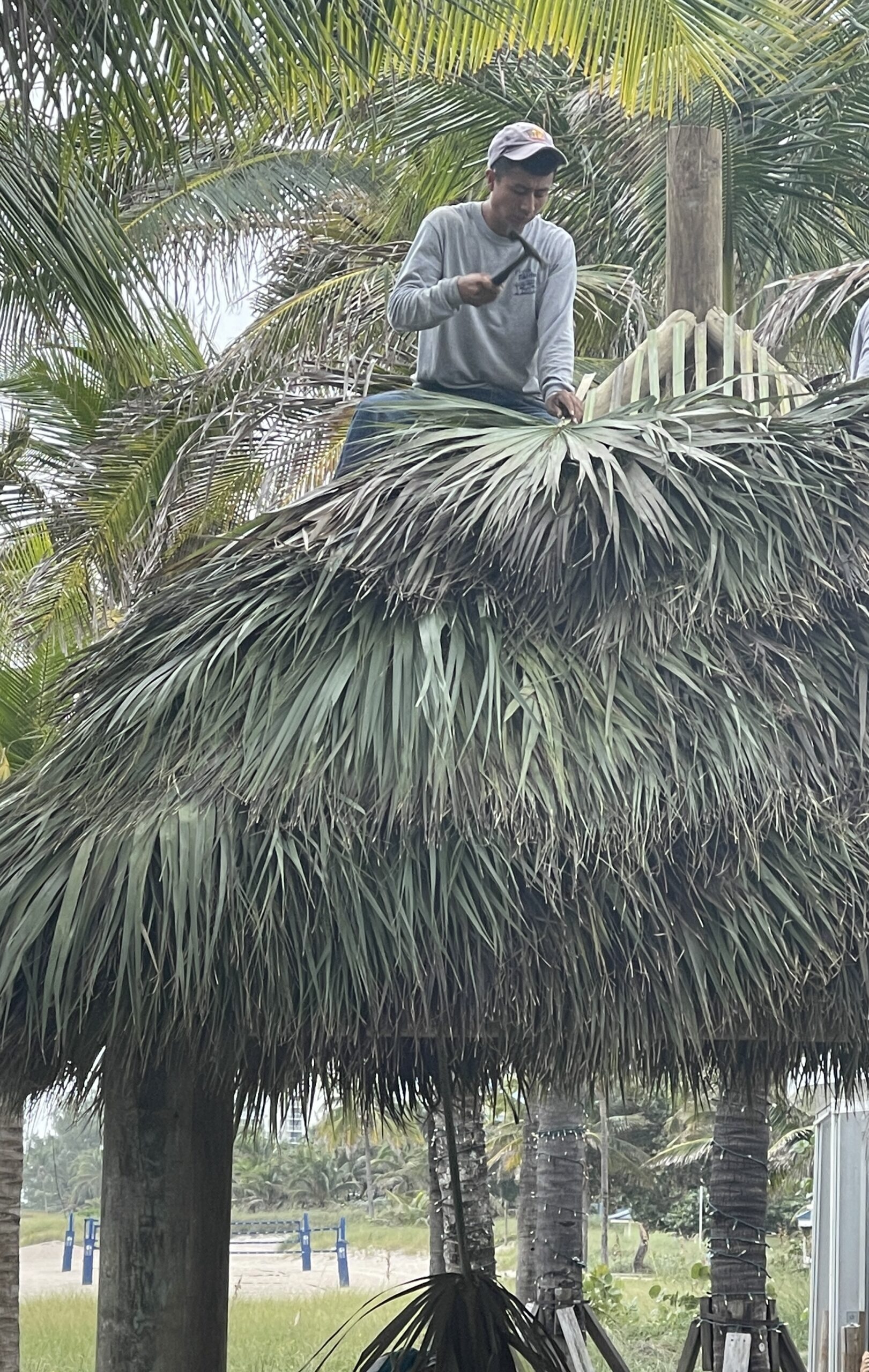 Thatch Roof